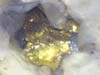 pépite d'or dans specimen de quartz